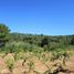 Land for sale in Maule, Cauquenes, Cauquenes, Maule