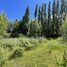  Land for sale in Chile, Coihaique, Coihaique, Aisen Del General Carlos Ibanez Del Campo, Chile