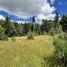  Land for sale in Chile, Coihaique, Coihaique, Aisen Del General Carlos Ibanez Del Campo, Chile