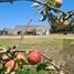 3 Habitación Casa en venta en Santiago, Buin, Maipo, Santiago