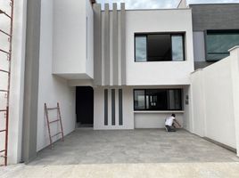 2 Bedroom Apartment for rent in Coatepec, Veracruz, Coatepec