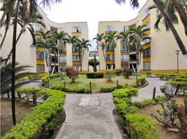 3 Habitación Apartamento en alquiler en Valle Del Cauca, Palmira, Valle Del Cauca