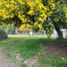 在Chubut出售的 土地, Cushamen, Chubut
