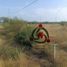  Land for sale in Doctor Gonzalez, Nuevo Leon, Doctor Gonzalez