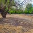  Land for sale in Confluencia, Neuquen, Confluencia