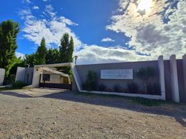  Land for sale in Confluencia, Neuquen, Confluencia