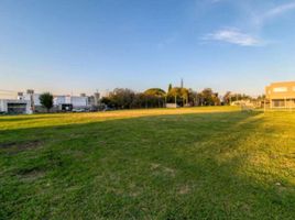  Land for sale in La Plata, Buenos Aires, La Plata