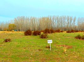  Land for sale in Confluencia, Neuquen, Confluencia