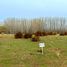  Land for sale in Confluencia, Neuquen, Confluencia