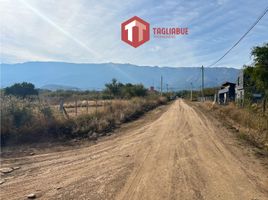  Land for sale in Junin, San Luis, Junin