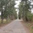  Land for sale in La Plata, Buenos Aires, La Plata