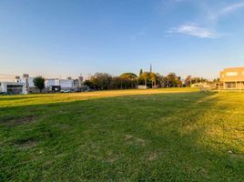  Land for sale in La Plata, Buenos Aires, La Plata