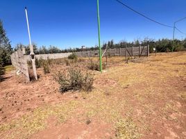  Land for sale in General Roca, Rio Negro, General Roca