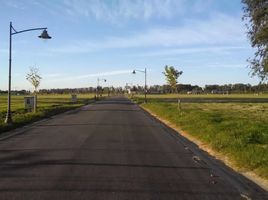 Terrain à vendre à La Plata, Buenos Aires, La Plata