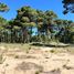  Land for sale in Pinamar, Buenos Aires, Pinamar