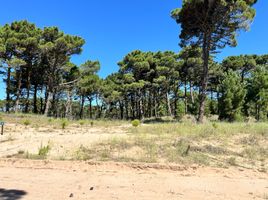  Land for sale in Pinamar, Buenos Aires, Pinamar