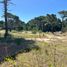  Land for sale in Pinamar, Buenos Aires, Pinamar