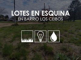  Land for sale in Colon, Entre Rios, Colon