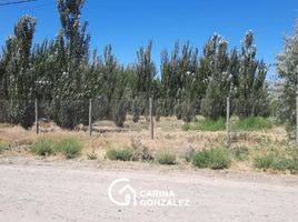  Land for sale in Neuquen, Confluencia, Neuquen