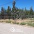  Land for sale in Neuquen, Confluencia, Neuquen