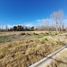  Land for sale in Confluencia, Neuquen, Confluencia