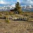  Terreno (Parcela) en venta en Rio Negro, Bariloche, Rio Negro