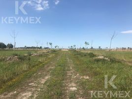  Land for sale in La Plata, Buenos Aires, La Plata