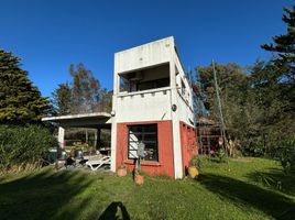 1 Habitación Casa en alquiler en La Plata, Buenos Aires, La Plata