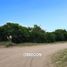  Land for sale in Caleu Caleu, La Pampa, Caleu Caleu