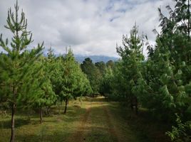  Terreno (Parcela) en venta en La Caldera, Salta, La Caldera