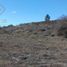  Land for sale in Rio Negro, Bariloche, Rio Negro