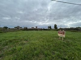  Grundstück zu verkaufen in La Capital, Santa Fe, La Capital