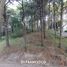  Land for sale in Pinamar, Buenos Aires, Pinamar