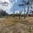  Land for sale in Escalante, Chubut, Escalante