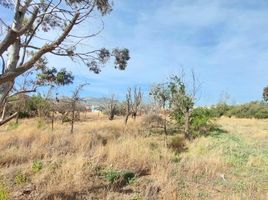  Land for sale in Escalante, Chubut, Escalante