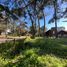  Land for sale in Pinamar, Buenos Aires, Pinamar