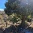  Land for sale in Rio Negro, Bariloche, Rio Negro