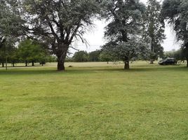  Grundstück zu verkaufen in Moreno, Buenos Aires, Moreno
