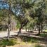  Land for sale in Cushamen, Chubut, Cushamen, Chubut