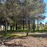  Land for sale in Cushamen, Chubut, Cushamen, Chubut