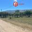  Land for sale in Junin, San Luis, Junin