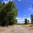  Land for sale in Confluencia, Neuquen, Confluencia