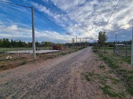  Land for sale in Confluencia, Neuquen, Confluencia