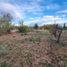  Land for sale in Confluencia, Neuquen, Confluencia