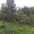  Land for sale in Rio Negro, Bariloche, Rio Negro