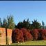  Land for sale in La Costa Buenos Aires, La Costa