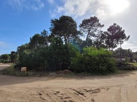  Land for sale in Pinamar, Buenos Aires, Pinamar