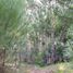  Land for sale in Pinamar, Buenos Aires, Pinamar