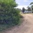  Land for sale in Pinamar, Buenos Aires, Pinamar