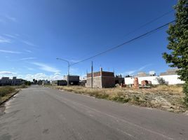  Terrain for sale in San Rafael, Mendoza, San Rafael